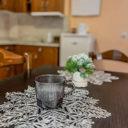 Apartament Fireplace Near Bus & Train Station *