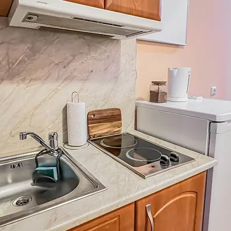 Daire Fireplace Near Bus & Train Station Bansko