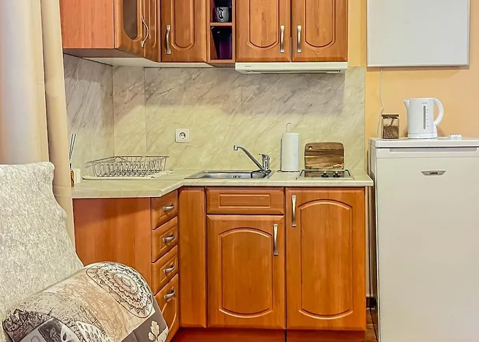 Daire Fireplace Near Bus & Train Station